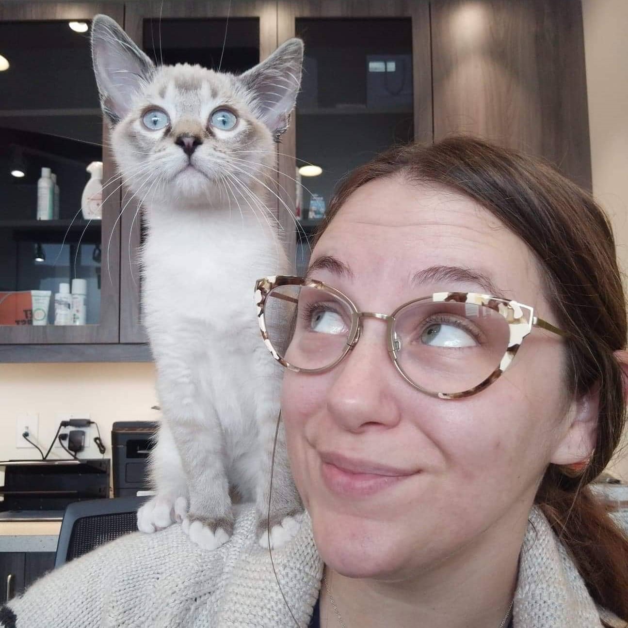 We are Hiring! – Legacy Veterinary Clinic