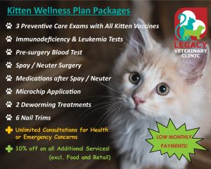 Kitten Wellness Plan