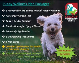 Puppy Wellness Plan