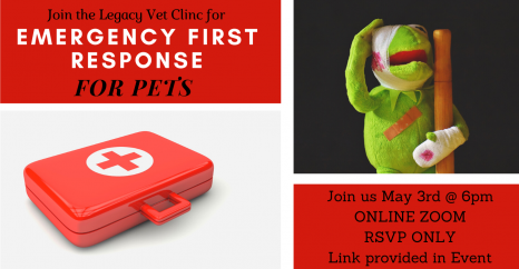be-your-pets-super-hero Emergency Legacy Vet SE