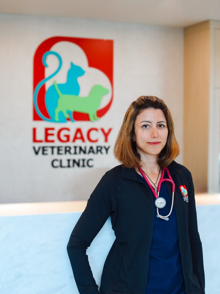 a5f48056-4d6e-4862-b8a3-3a69ba00ced2 Dr Maryam Jajouei