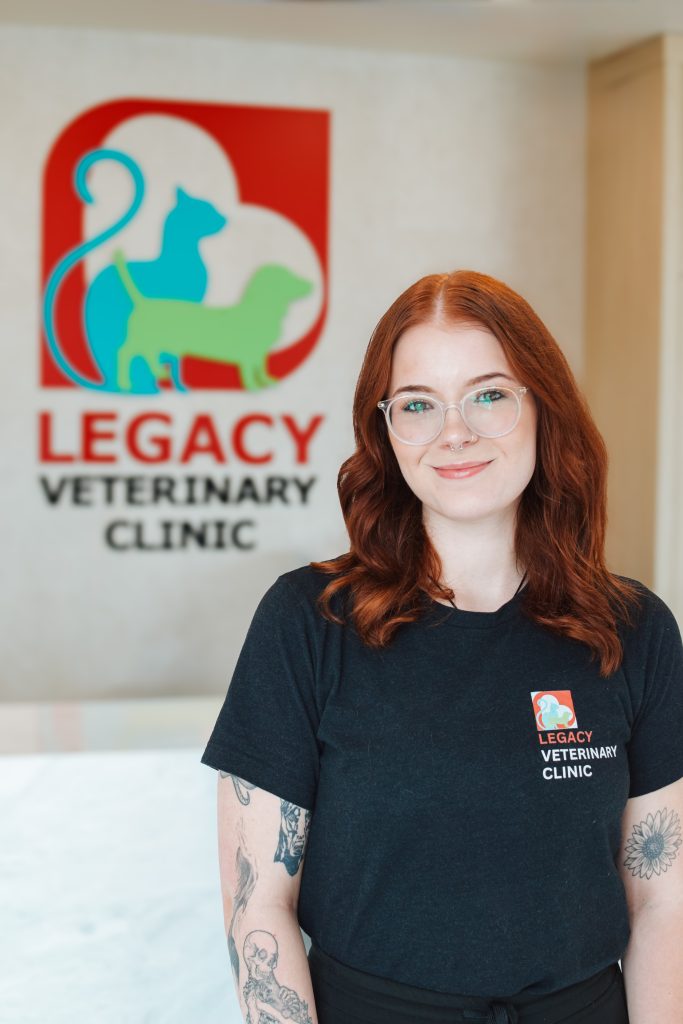 Jayde Morin Jayde Morin