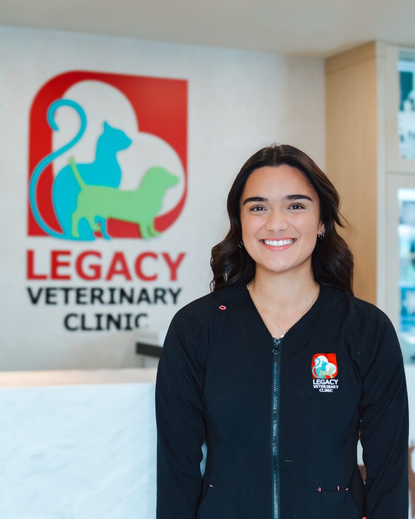 Ainsley Ochoa Ainsley Ochoa