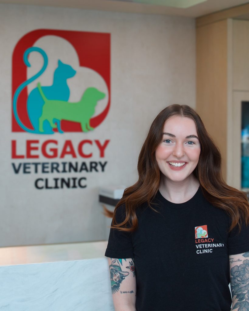 Taylor Brewis Taylor Brewis